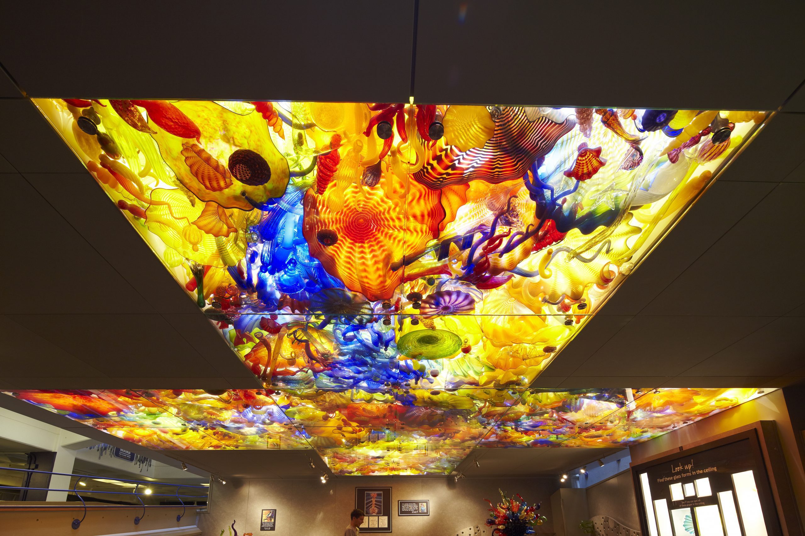 The Children's Museum of Indianapolis: Chihuly Sculpture Platform