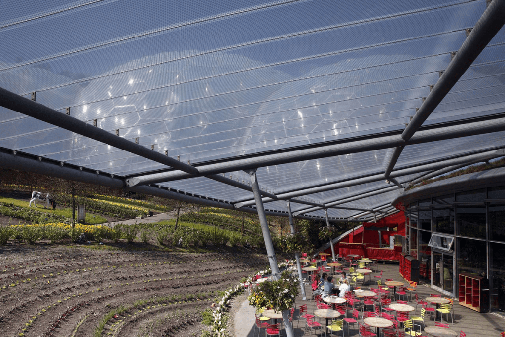 Tree Column Etfe 5 ETFE Structural Details to Define Before Design Begins