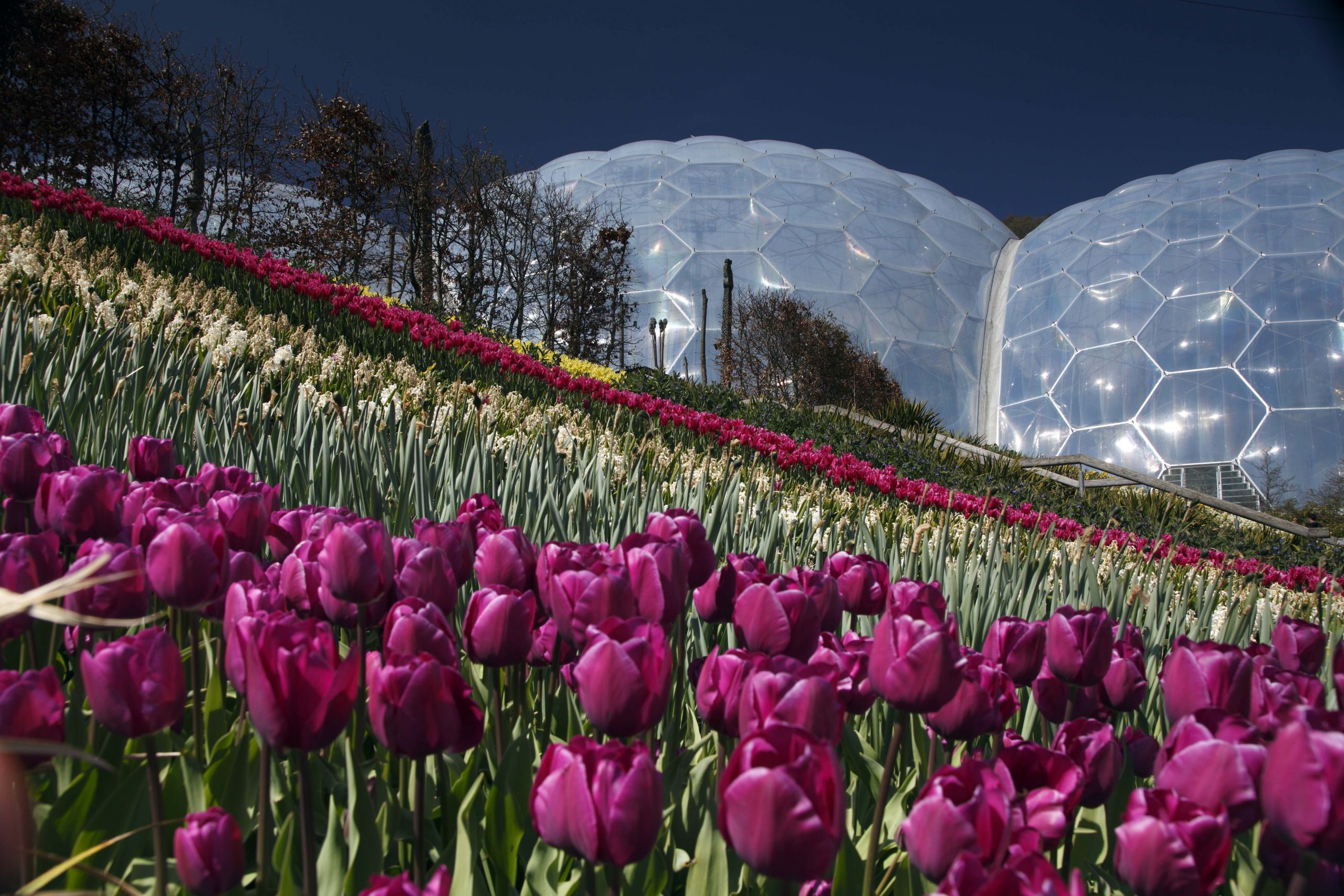 Eden Project