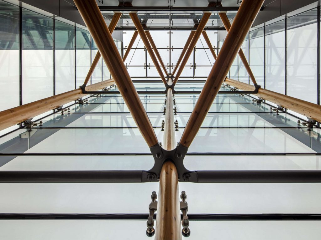 Glass and timber structure