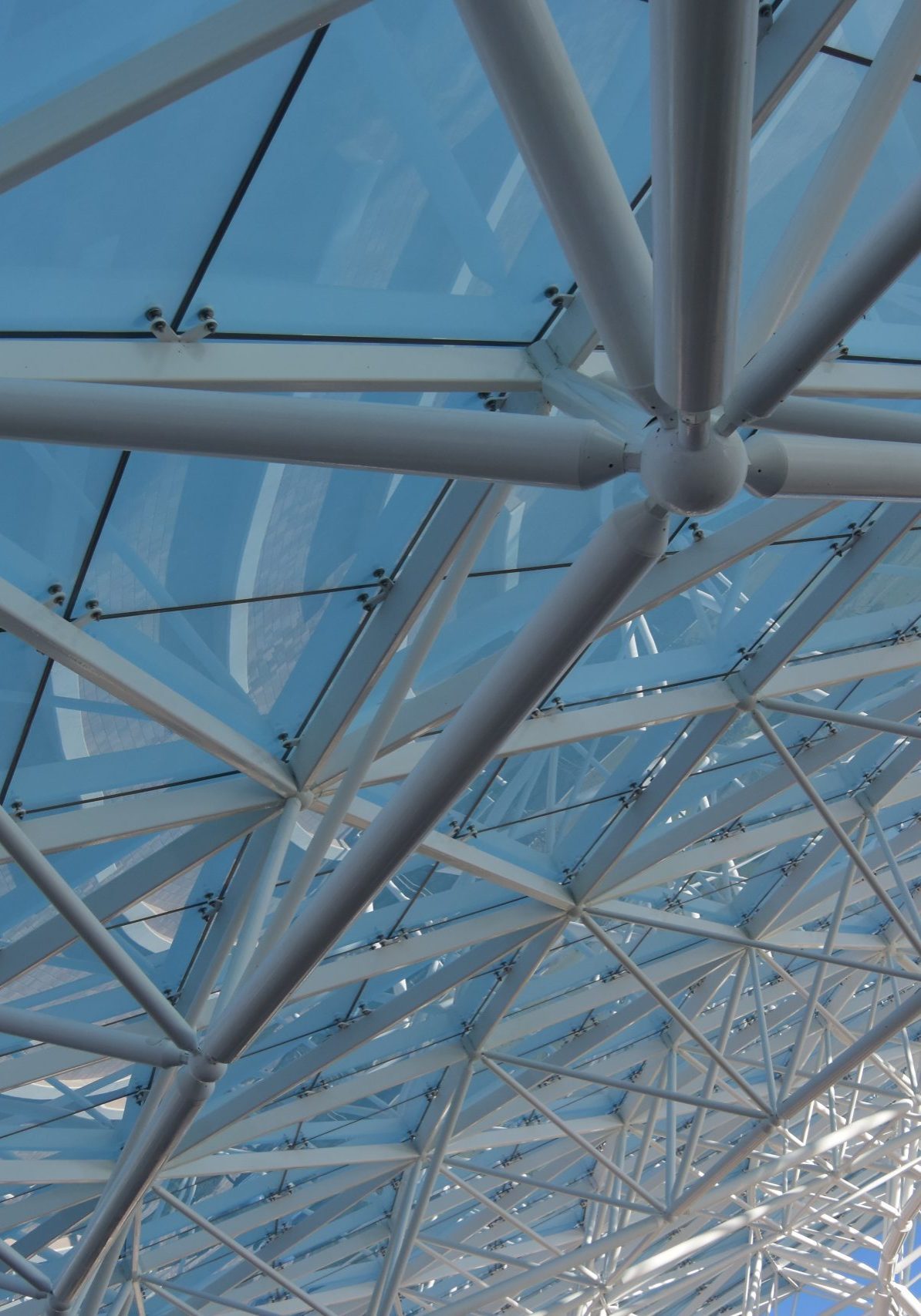 DSC_0076 Large glass and metal structure