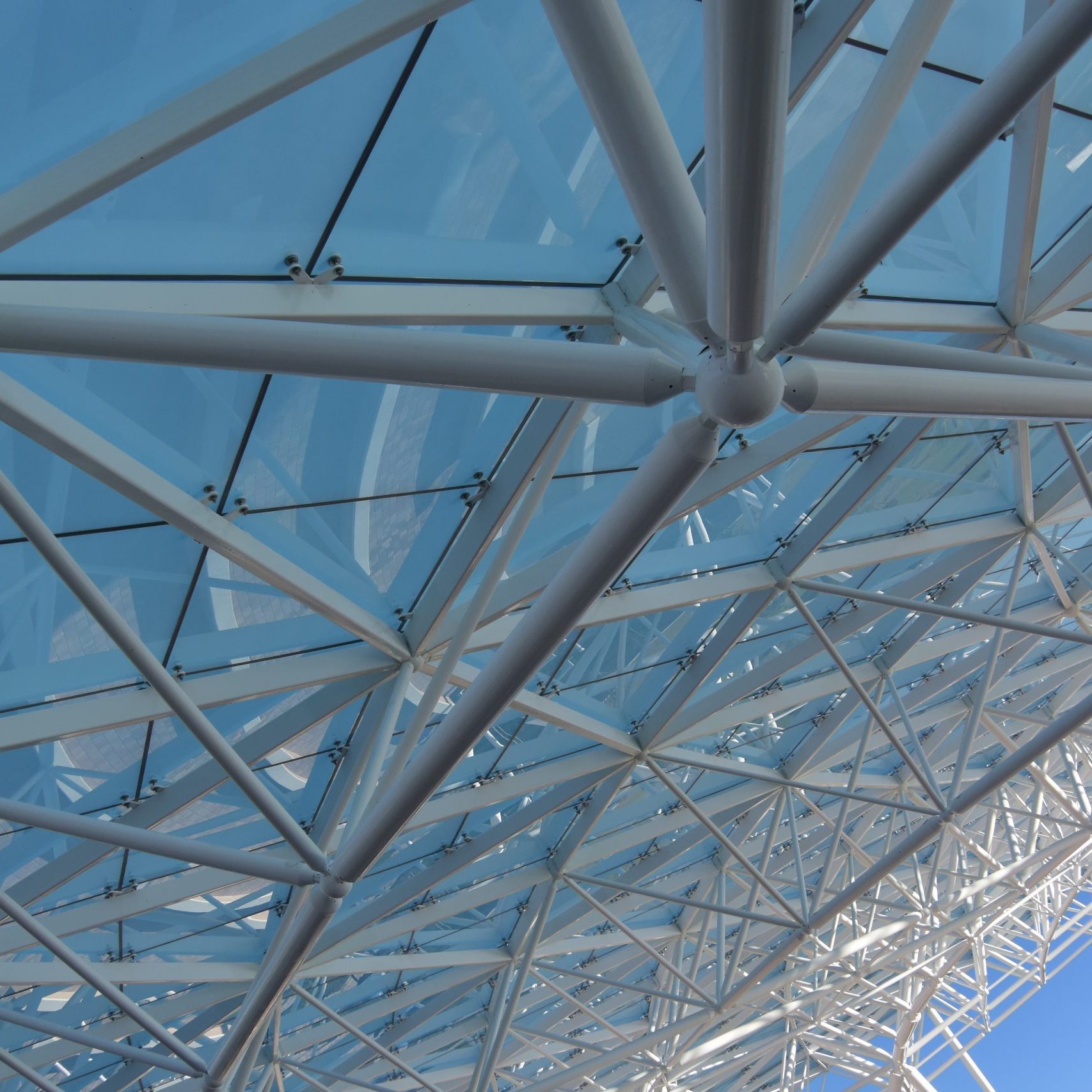 DSC_0076 Large glass and metal structure