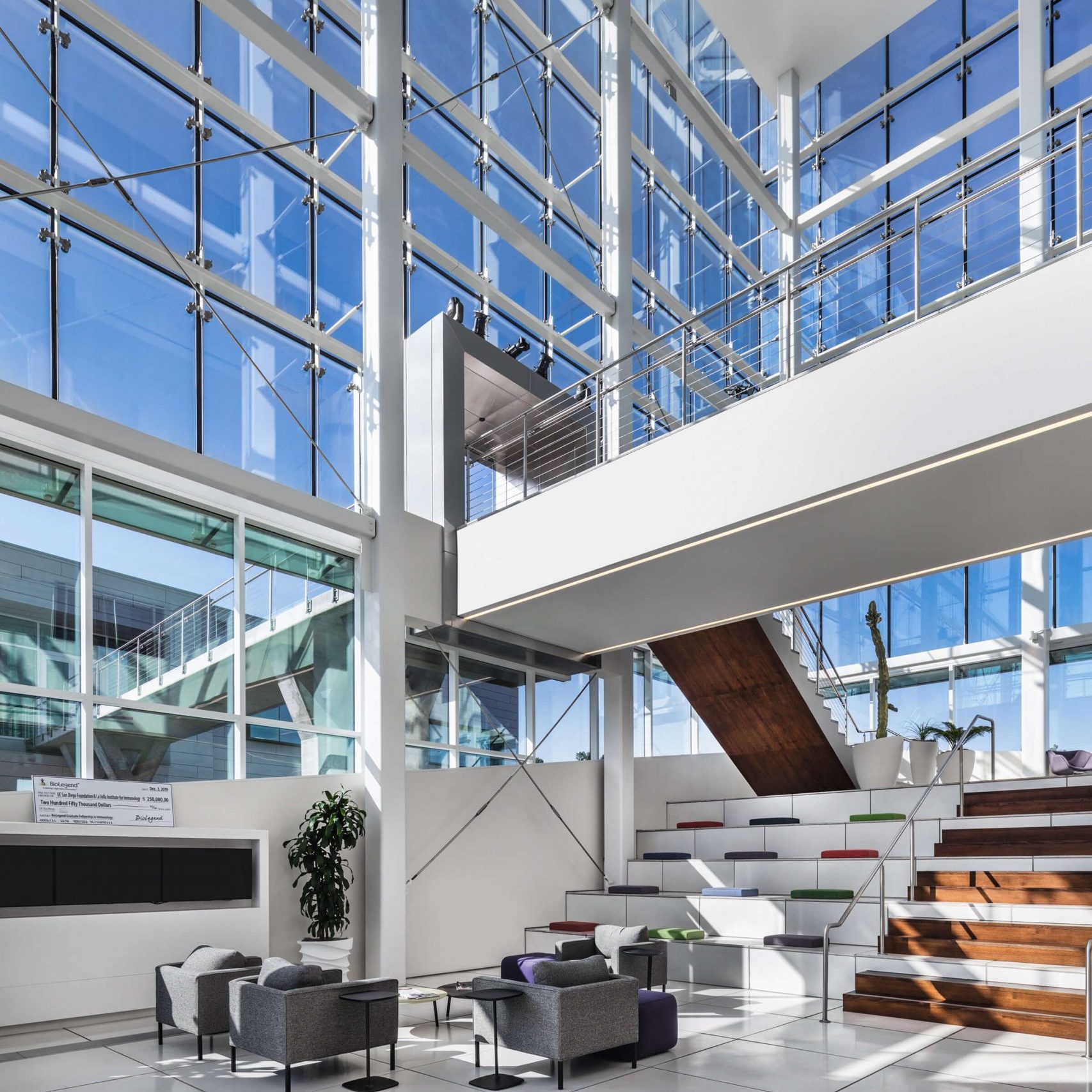 Exposed Steel Frame Architecture | Novum Structures